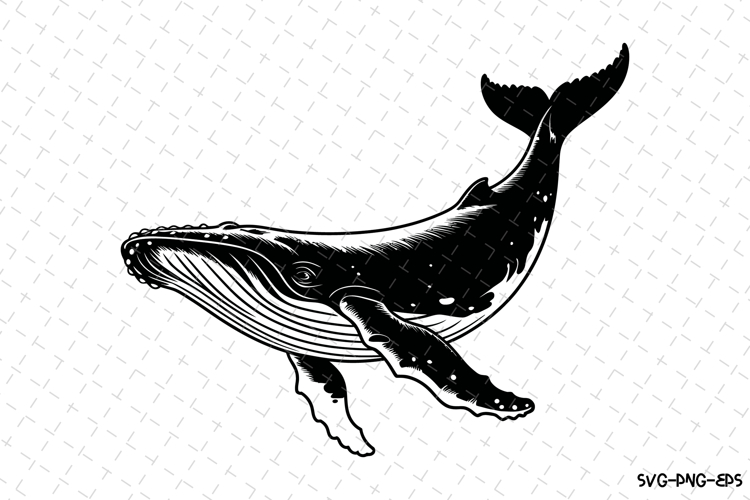 Whale Silhouette Image 19
