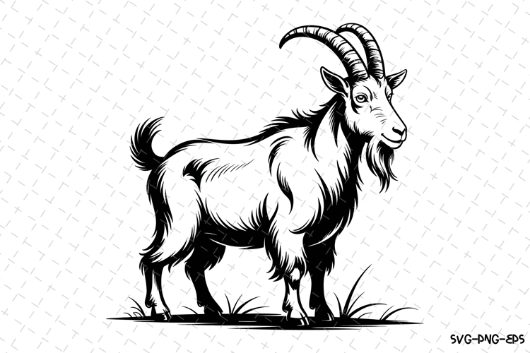 Cute Goat Pictures Image 18