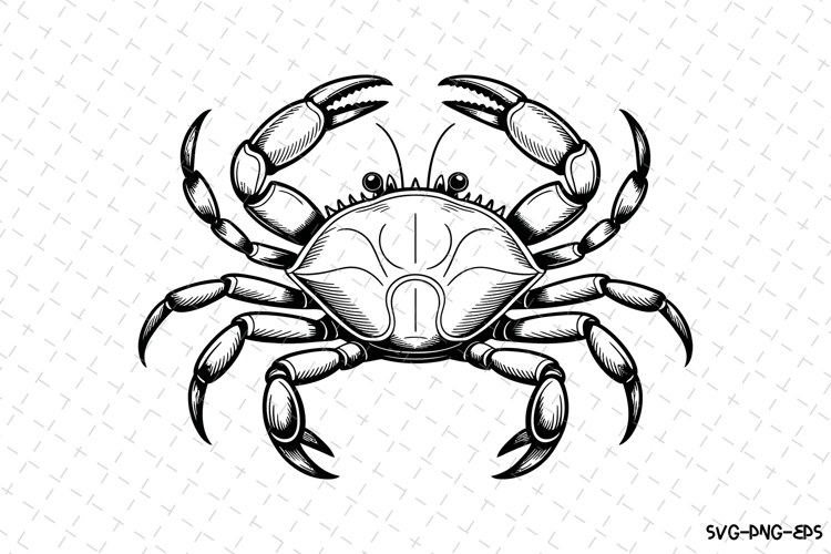 Crab Silhouette Image 14