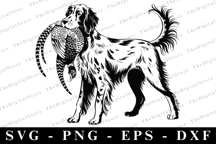 Croc Shoe SVG | SVG Cut files | Cricut