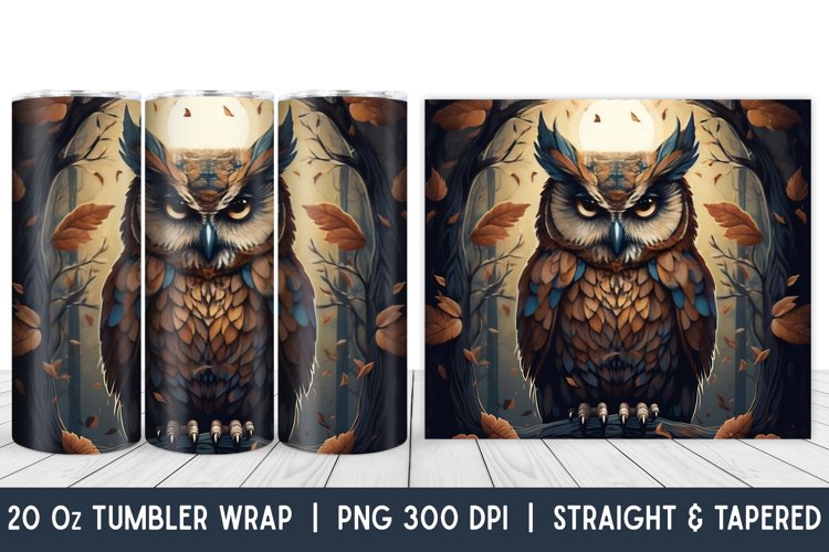 Owl Clipart Image 8
