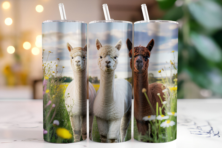 Alpaca Clipart Image 17