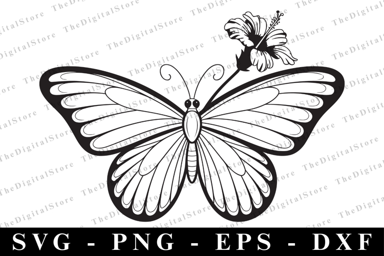 Butterfly Vectors Image 5