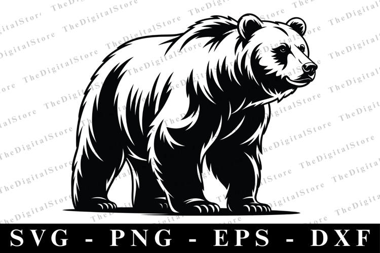 Bear SVG | SVG Cut files | Cricut