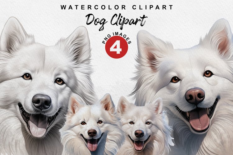 American Eskimo Dog Clipart | Watercolor Clipart | Dog love