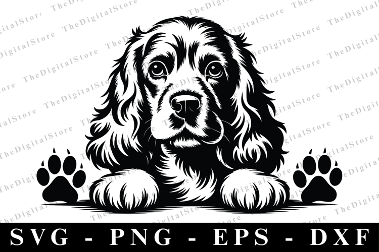 Cocker Spaniel SVG | SVG Cut files | Cricut