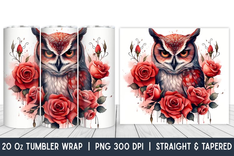 Owl Clipart Image 13
