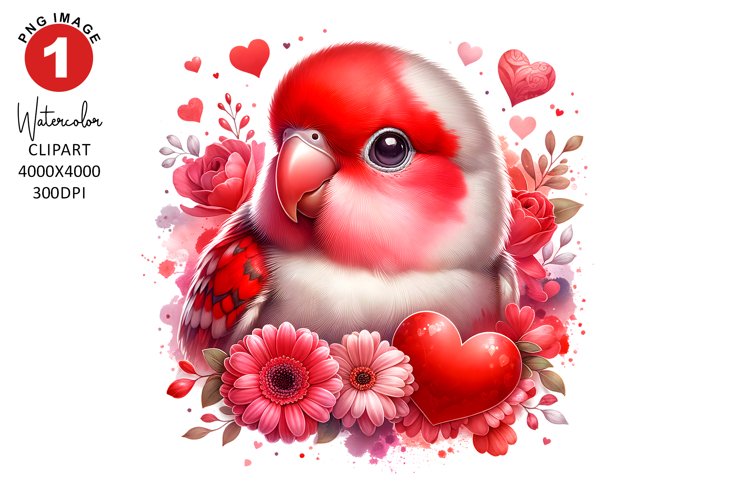 Valentines Day Love Bird Clipart | Watercolor Sublimation