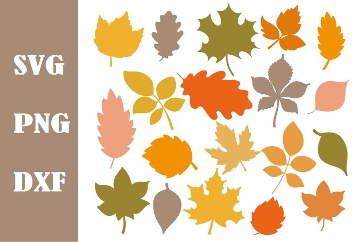 Autumn Fall leaves svg png dxf bundle, fall leaf (2745281)