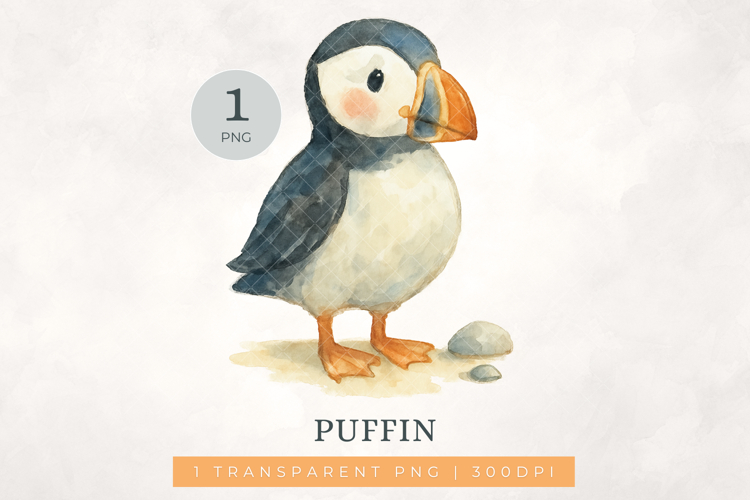 Watercolour Puffin Clipart Artic Bird Clip Art PNG