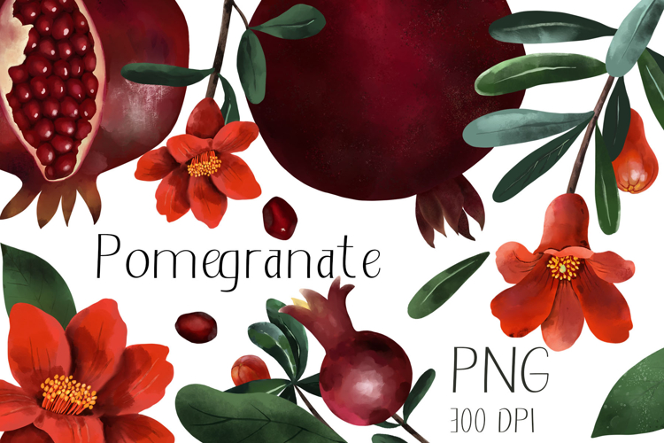 Hand Painted Pomegranate Botanical Clipart Set PNG