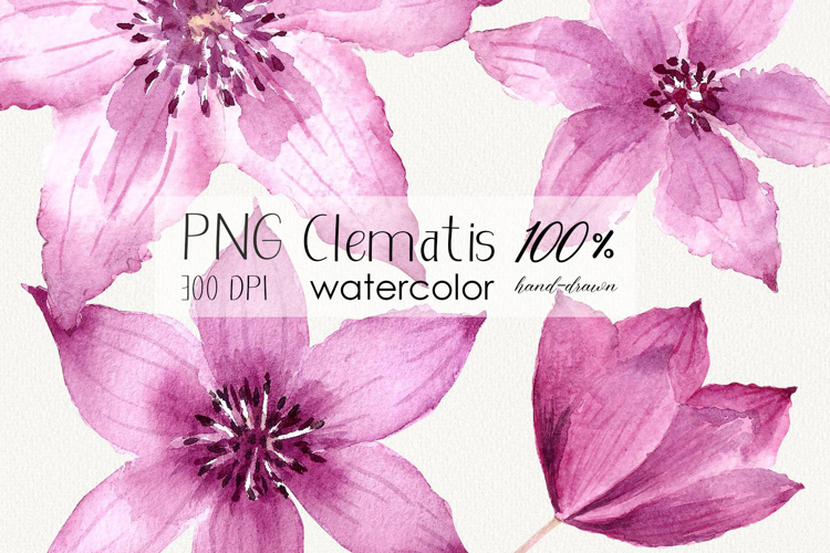 Flower Clipart Image 16