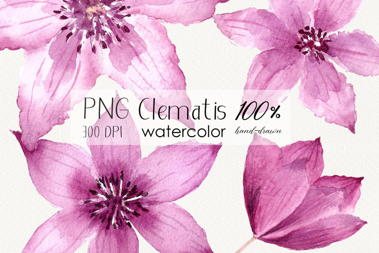 Watercolor Clematis Floral Clipart PNG Sublimation design