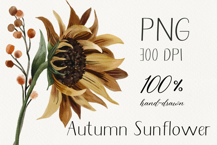 Watercolor sunflower and berries in autumn tones