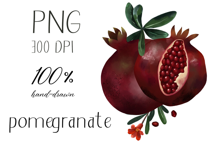 Hand drawn pomegranate illustration png