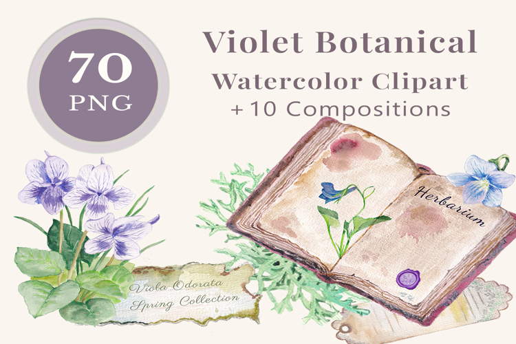 Watercolor Flowers Png Image 5