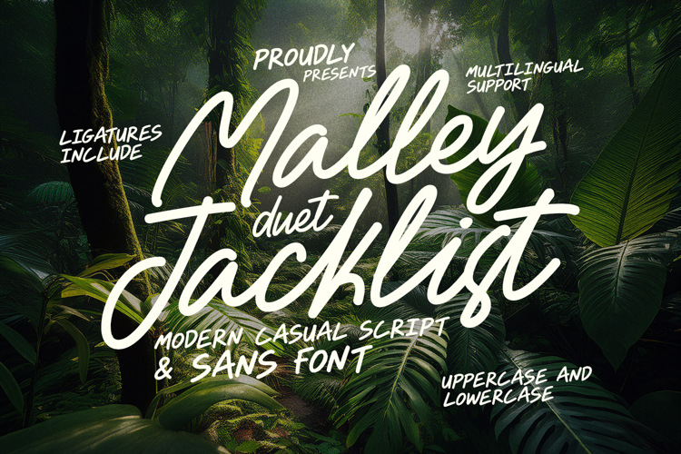 Malley Jacklist Modern Casual Script Font
