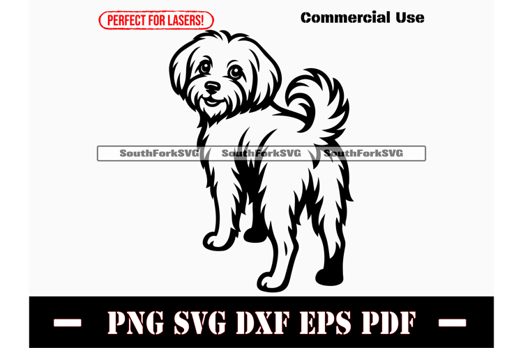 Maltese Clipart Image 11