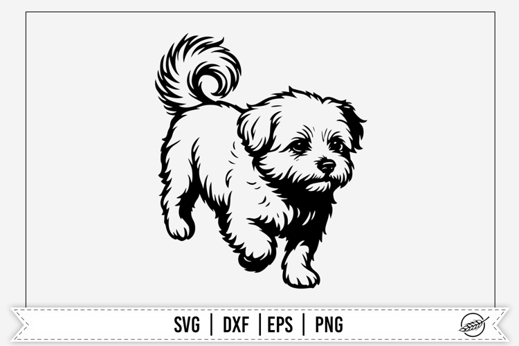 Cute Maltese Dog SVG