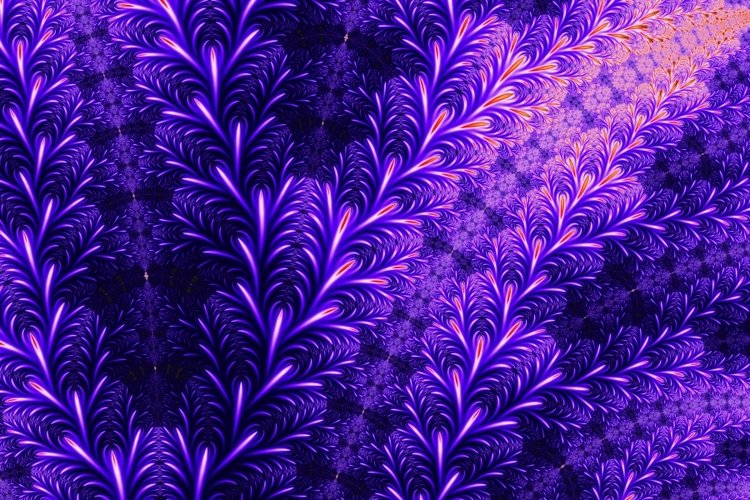 Floral Background Image 3