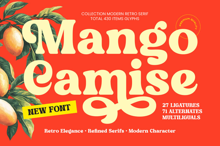 Mango Camise - Modern Retro Serif example image 1