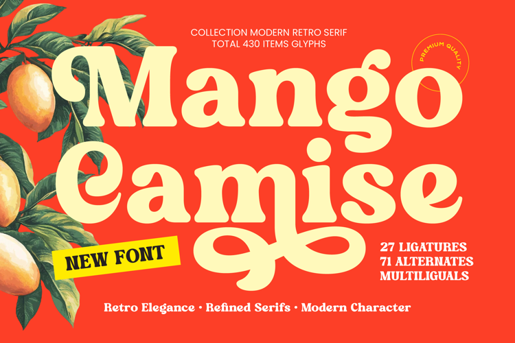 Mango Camise - Modern Retro Serif