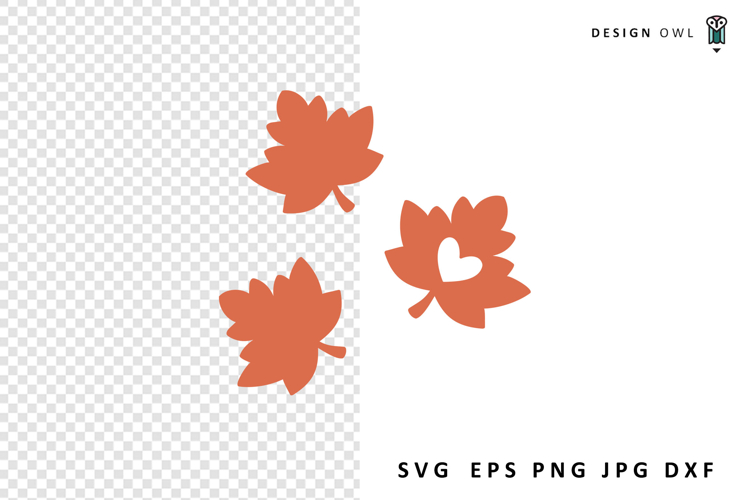 Maple Leaves SVG