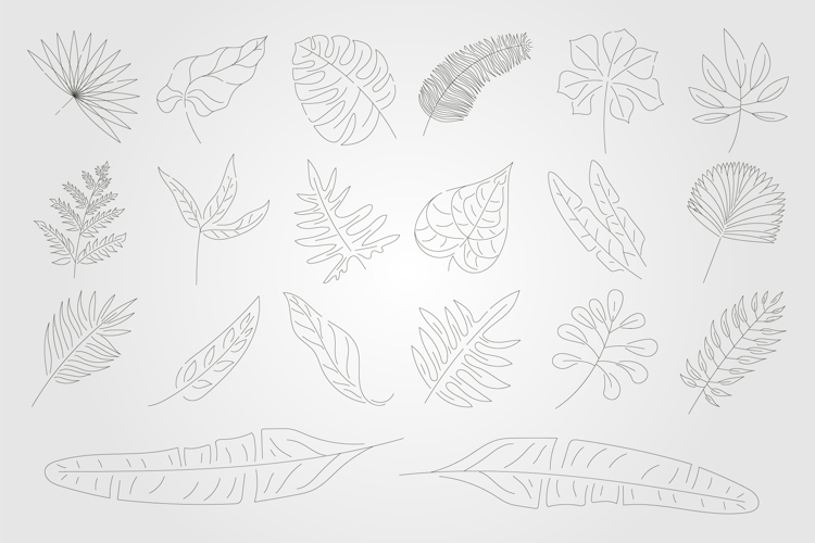 Line Clipart Image 14