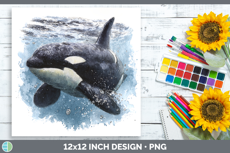 Orca Marine Mammal Sketch Paper Backgrounds Design