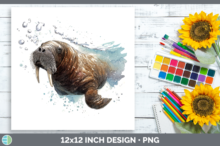 Walrus Marine Mammal Sketch Paper Backgrounds Design