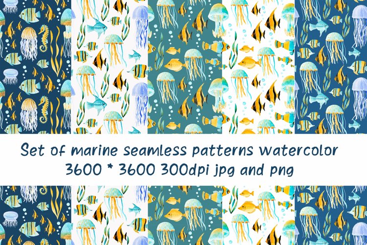 Jellyfish Clipart Image 20