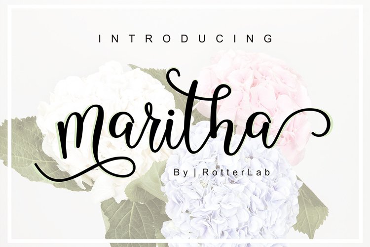 Romantic Collection Font Bundle
