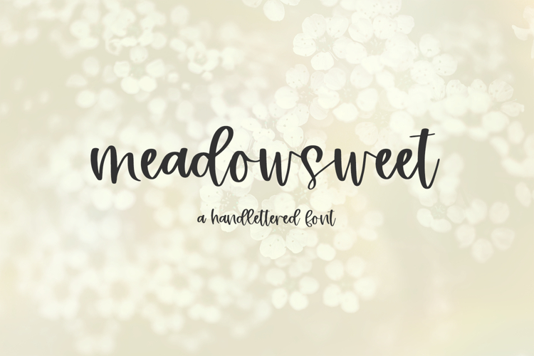 Meadowsweet Script