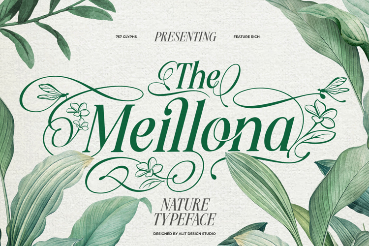 Nature Fonts