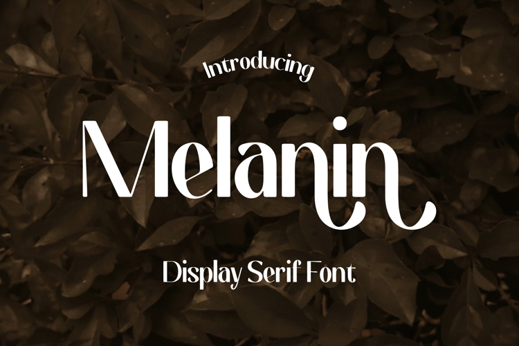 Melanin - Display Serif Font example image 1