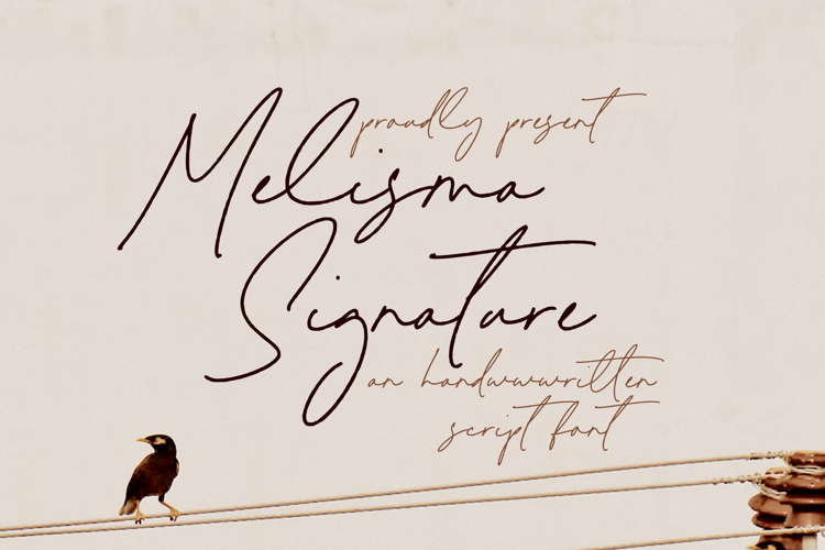 Melisma Signature - Handwritten Script Font