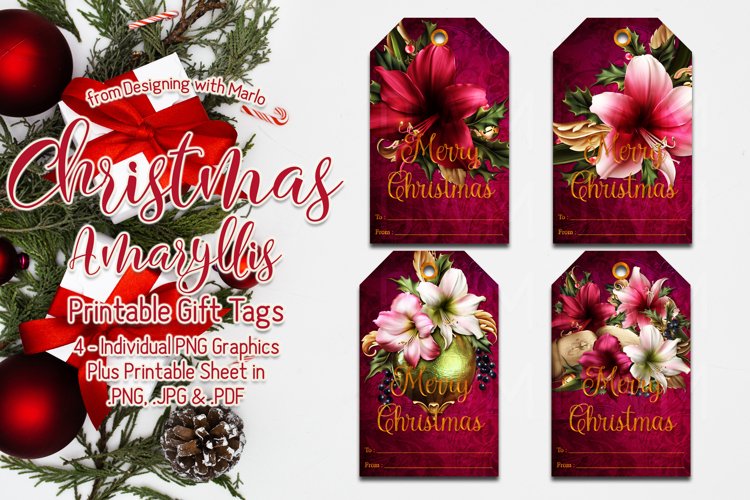 Christmas Amaryllis Printable Gift Tags & Sheet