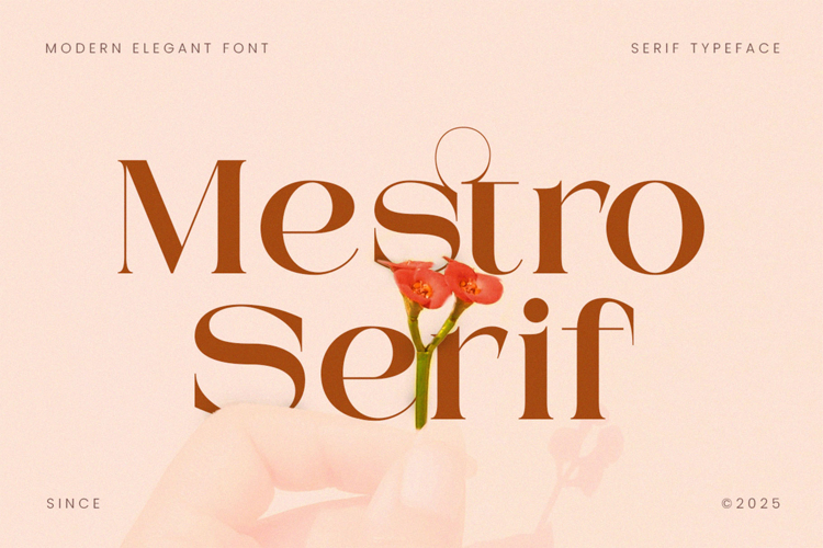 Mestro Serif || Modern Ligature