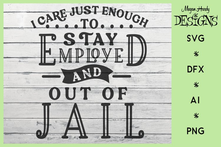 I Care Just Enough To Stay Out Of Jail example image 1