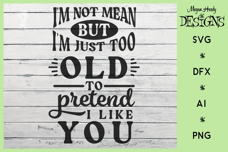 I'm Not Mean Too Old To Pretend I Like You example image 1