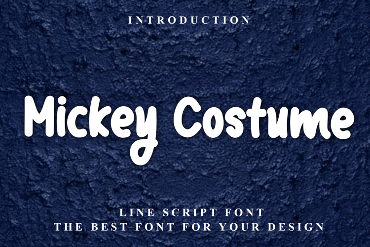 Mickey Costume