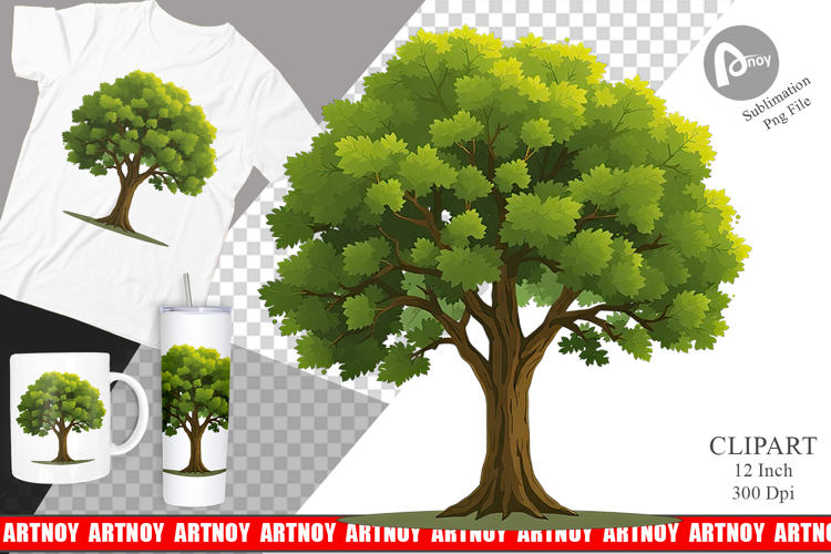 Forest Png Image 5