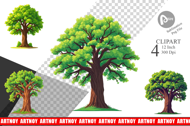 Forest Png Image 2