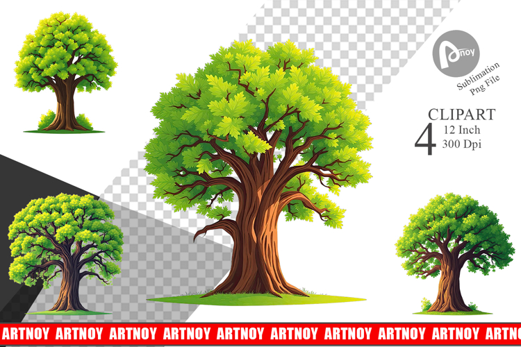 Forest Png Image 3