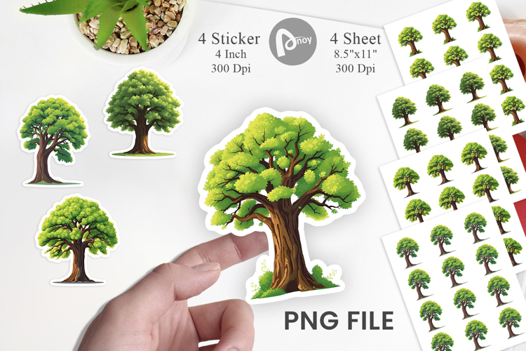 Forest Png Image 10