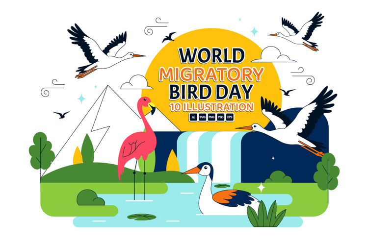 10 World Migratory Bird Day Illustration