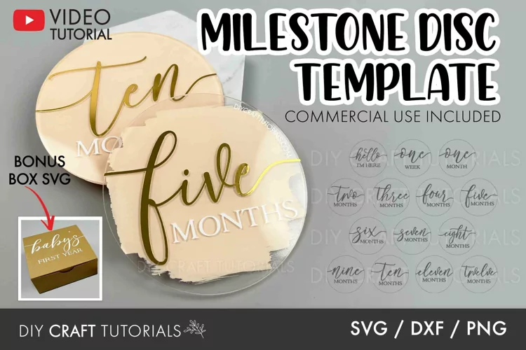 Baby Milestone SVG | Monthly Milestone Discs