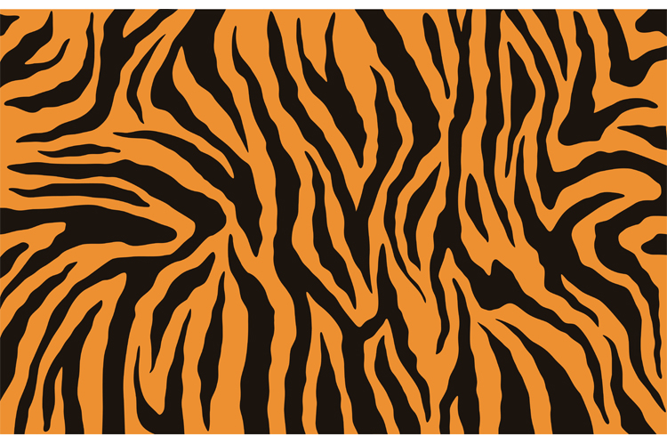 Texture of bengal tiger fur, orange stripes pattern. Vector