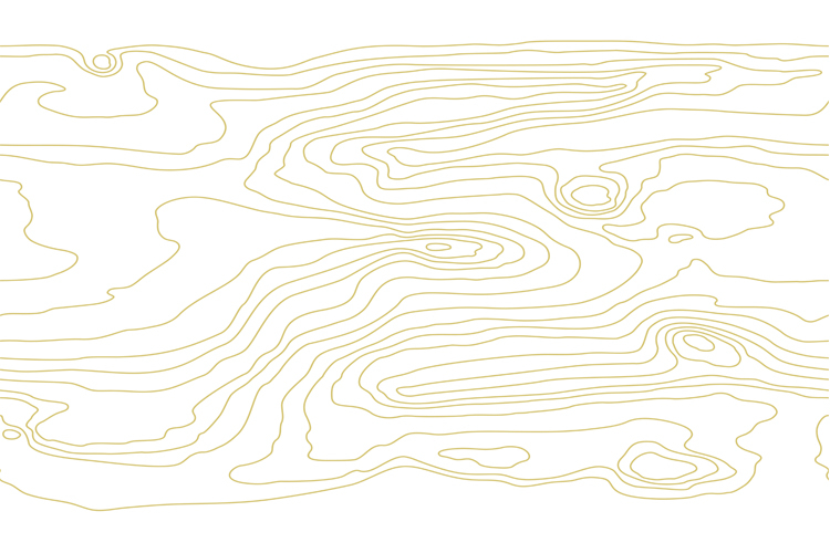 Seamless wooden pattern. Wood grain texture. Vector