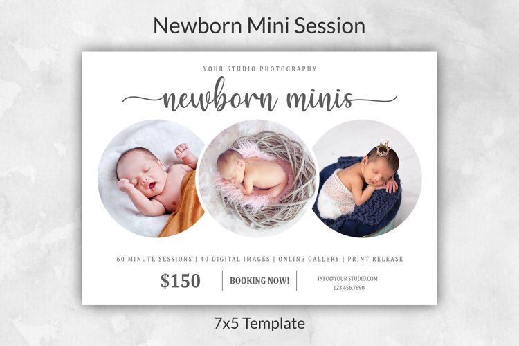 Newborn Mini Session Template example image 1